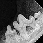 Image2