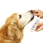 pharmacy (2)