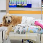 surgery (1)