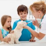 vaccination